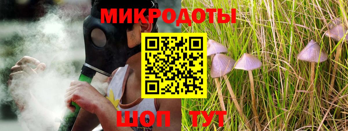 Псилоцибиновые грибы Psilocybe Лыткарино