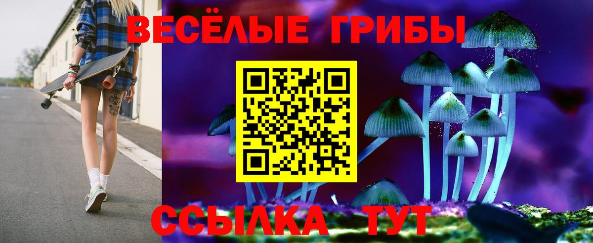 Лыткарино  Псилоцибиновые грибы Psilocybe  Вход с VPN 